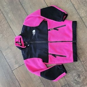 North Face Denali 3T